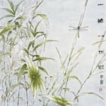 孙茜 一草一世界