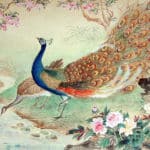 朱梅村 -《孔雀·牡丹》ZHU Meicun, Peacock and Peony, 54.5 x 80cm, 1973