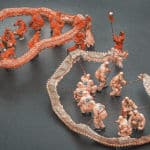 Two Dragons Play with A Pearl Photo by Chu Chengsheng
