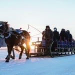 暖阳-归家-呼伦贝尔市乘坐马拉雪橇的人们 People Ride a Horse drawn by Sleigh in Hulunbuir