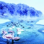 泉水与精灵——喀纳斯的不冻暖泉 The Unfrozen Hot Springs Kanas Lake,The spring and fairies